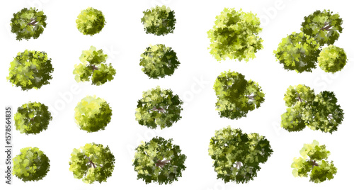 Vector watercolor green tree or forest top view isolated on white background for landscape plan and architecture drawing,plant for environment or garden,botanical element for exterior layout