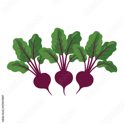 Three Beetroots with Lush Green Leaves