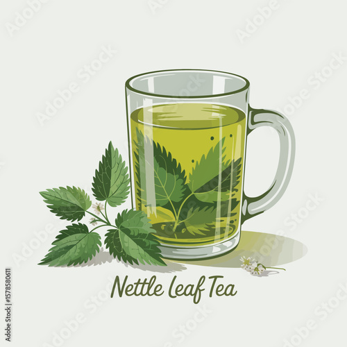 Fresh and Healthy Nettle Leaf Tea in Glass Mug