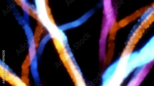 Abstract Colorful Lines Animation with a Variety of Bright Colors and Dynamic Movement