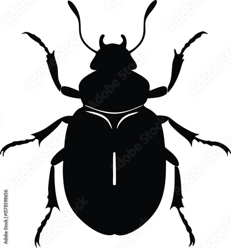  beetle silhouette vector.