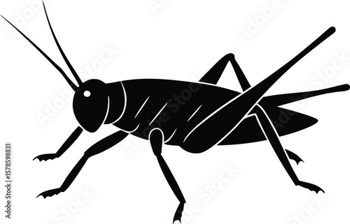 cricket silhouette vector