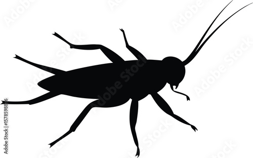 cricket silhouette vector