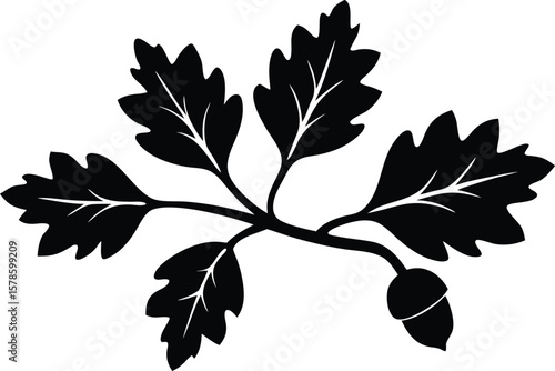  leaves oak branch with acorn silhouette vector illustration