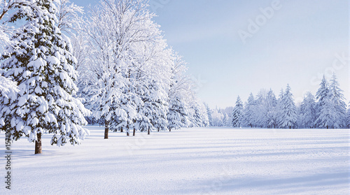 Snowy trees line a winter landscape.