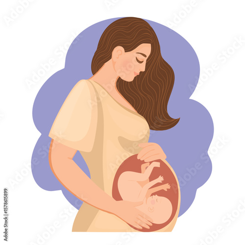 Pregnant woman with a baby in the uterus, anatomy of pregnancy.