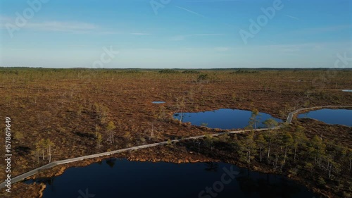 Drone footage of untouched Kuresoo bog with natural wetland and forest in Soomaa National Park, Estonia.