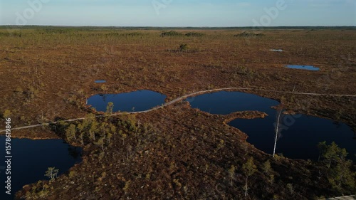 Drone footage of untouched Kuresoo bog with natural wetland and forest in Soomaa National Park, Estonia.