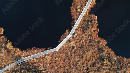 Drone footage of untouched Kuresoo bog with natural wetland and forest in Soomaa National Park, Estonia.