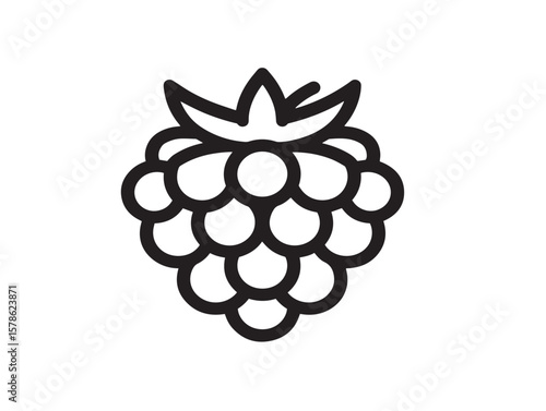 Natural Blackberry 2D Icon with Line Art Style