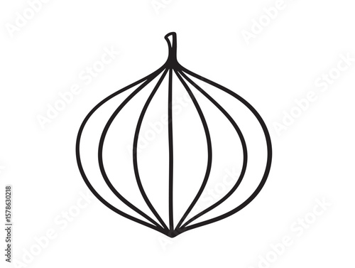 Delicious Cape Gooseberry Fruit Line Drawing Icon