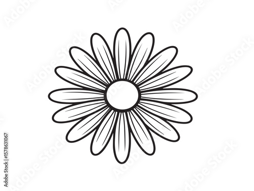 Chamomile Flower Line Drawing in Elegant Vector Style