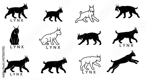 Twelve stylized lynx illustrations: black, white, and outline variations in walking, sitting, and leaping poses.