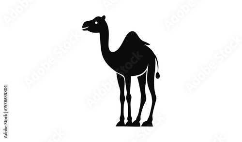 Isolated silhouette of a camel standing on a white background