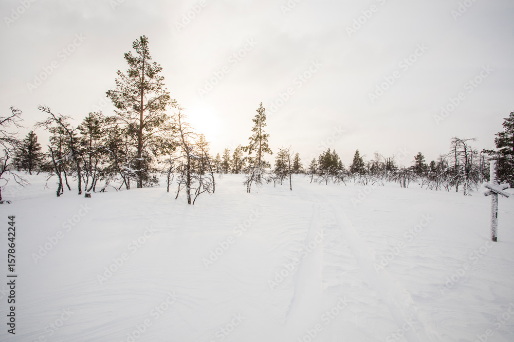 Obraz premium Winter landscape in Pallas Yllastunturi National Park, Lapland, Finland