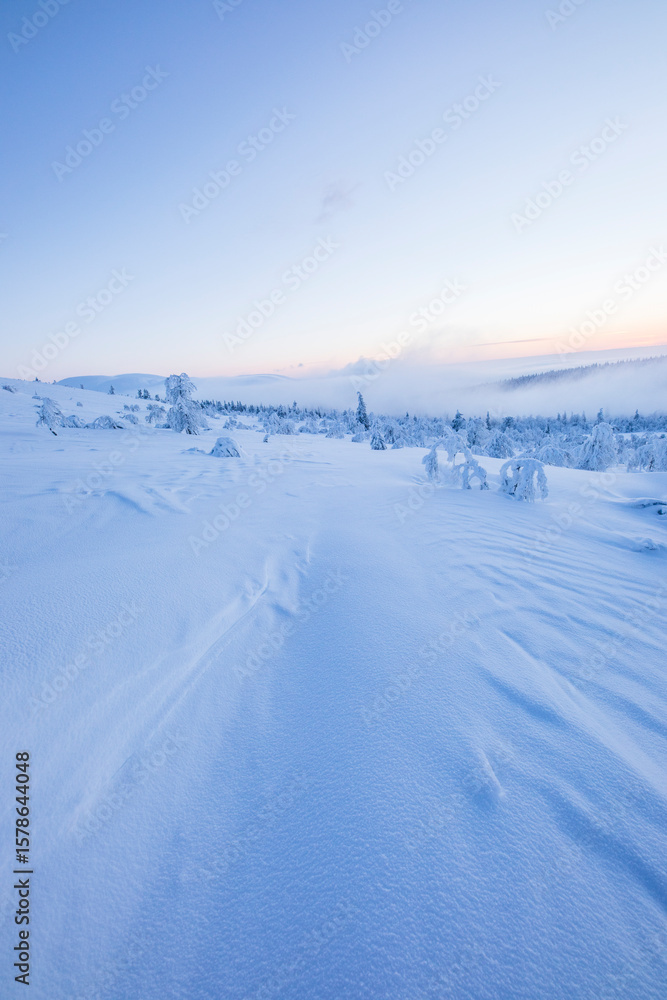 Winter landscape in Pallas Yllastunturi National Park, Lapland, Finland Winter landscape in Pallas Yllastunturi National Park, Lapland, Finland