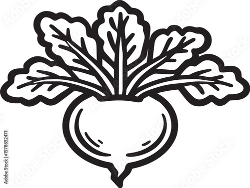 Clean Green Kohlrabi Vegetable Outline Icon