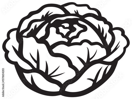 Green Lettuce Head Outline Minimal Vector Icon