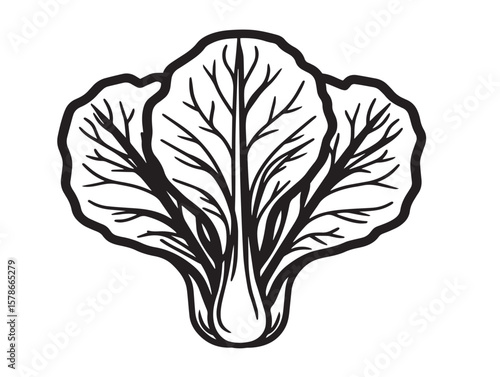Fresh Bok Choy Vegetable Icon in Clean Line Art