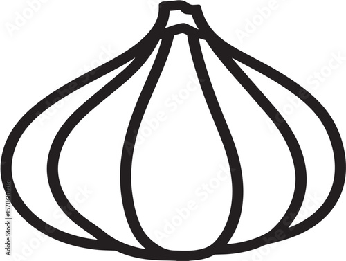 Delicious Squash Vegetable Illustration in Minimal Line Art