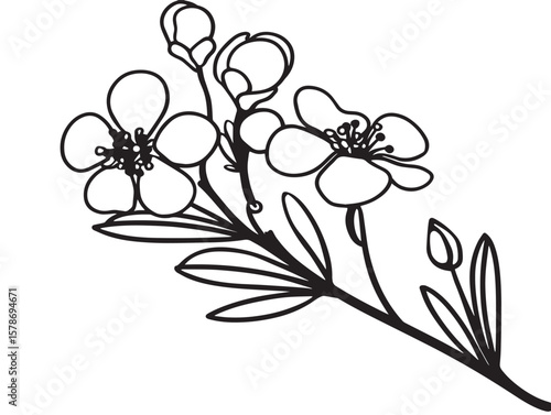 Elegant Waxflower Decorative Icon in Minimal Vector Style