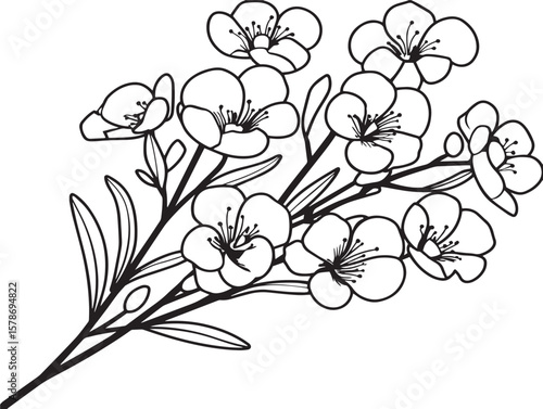 Charming Waxflower Floral Icon with Delicate Line Art