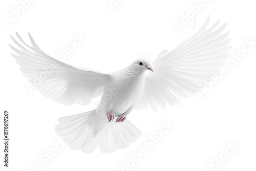 A white dove flying with wings spread isolated on transparent background