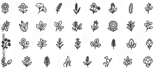 Medicinal Herbs Line Icons Pack – Unique Vector Icons Featuring Healing Plants, Herbal Medicine, Aromatic Leaves, and Natural Remedies