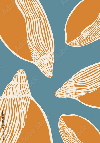 sea shells vector illustration