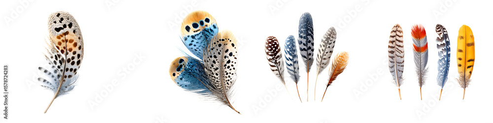 Obraz premium Feather Collection: Vibrant Watercolor Bird Plumage for Creative Design Elements