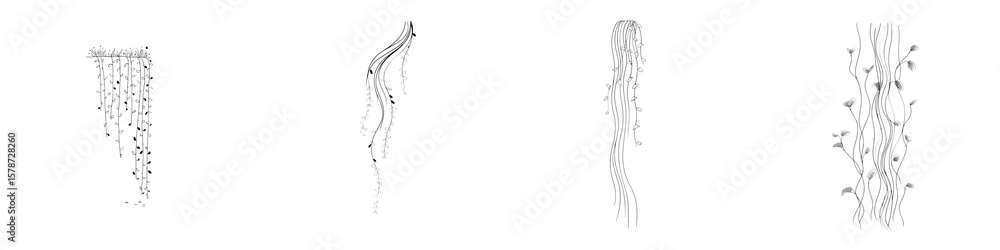 Fototapeta premium Simple Art Botanical Vines - Black and White Illustrations