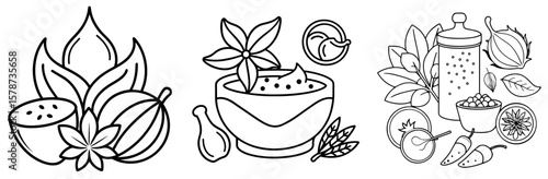 Spice for Cooking Coloring Book Page - Outline Vector Line Art