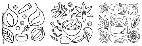 Spice for Cooking Coloring Book Page - Outline Vector Line Art