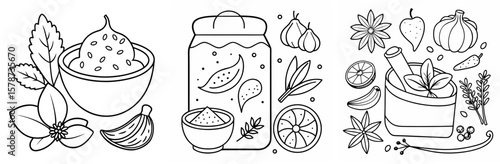Spice for Cooking Coloring Book Page - Outline Vector Line Art