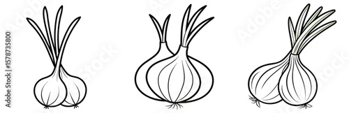 Spring Onions Coloring Book Page - Outline Vector Line Art Design
