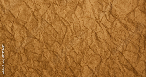 Wallpaper Mural Wrinkled Brown Paper Texture with Detailed Creases and Natural Folds. Torontodigital.ca