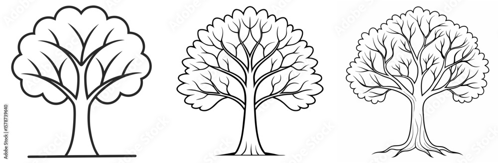 Fototapeta premium Tree Without Leaves Outline - Coloring Book Page Vector Design