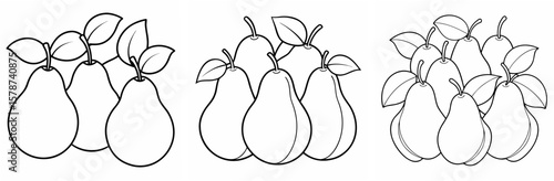 Various Pears Outline - Coloring Book Page Line Art Vector
