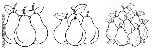 Various Pears Outline - Coloring Book Page Line Art Vector