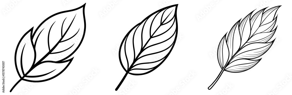 Obraz premium Willow Leaf Outline - Coloring Book Page Line Art Vector