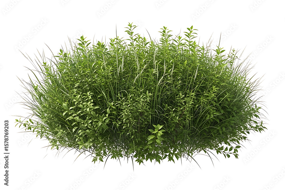 Fototapeta premium A lush green bush with various plants and grass isolated on white isolated on transparent background