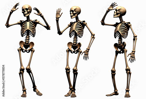 Skeleton waving in three different poses on white background  