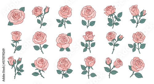 A collection of various pink rose illustrations with green leaves and stems, arranged on a white background.