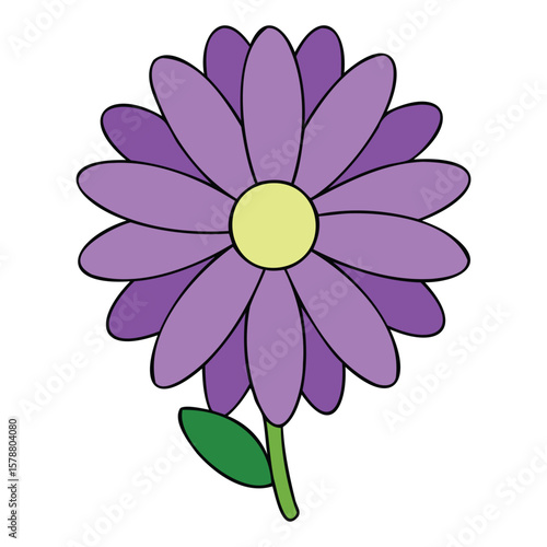 Aster Bloom Flower Illustration