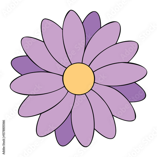 Aster Bloom Flower Illustration