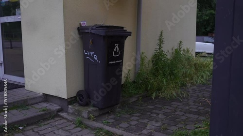A close-up view of a trash bin in a alley, capturing the textures, materials, and atmosphere of a forgotten space.