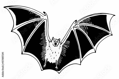 A bat with open wings isolated on white background, ready to fly