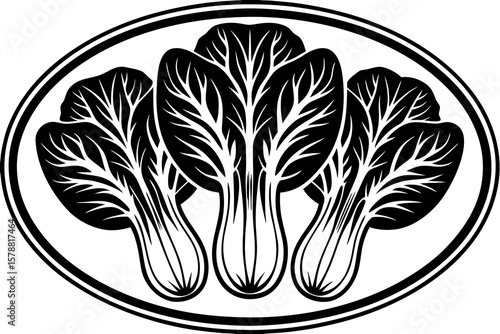 Three bok choy vegetables are arranged in an oval frame