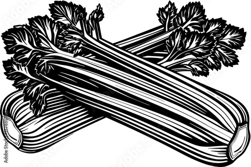 Two stalks of celery crossed isolated on white background in black and white