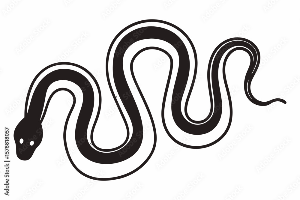 Obraz premium A black and white snake is coiled, isolated on white background